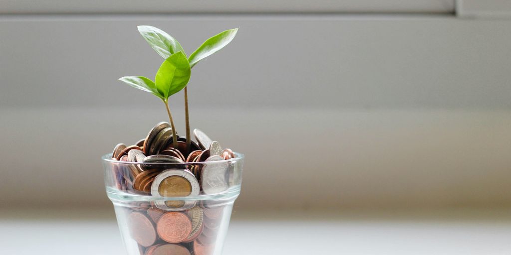 green plant in clear glass cup