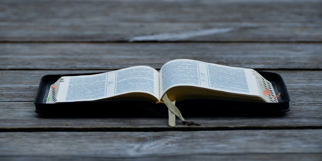 open bible on brown panel